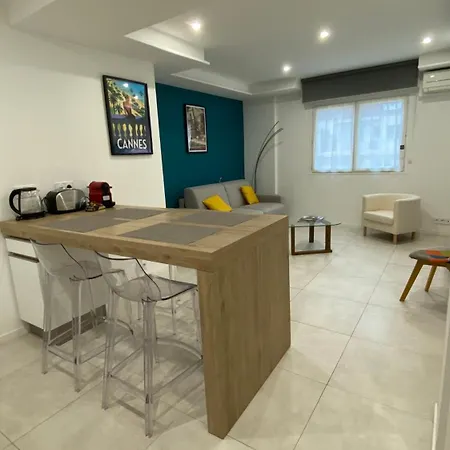 Superbe Hypercentre Climatise Daire Cannes